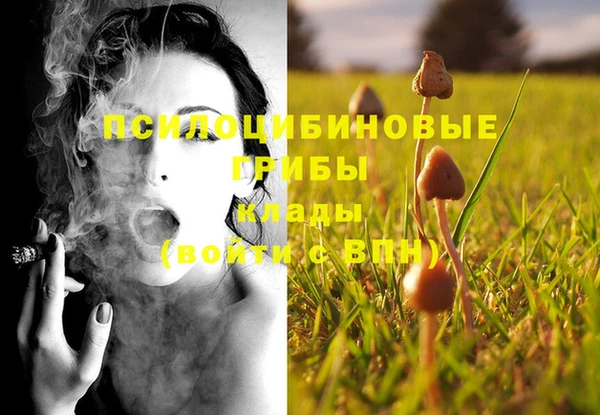 мескалин Верхний Тагил