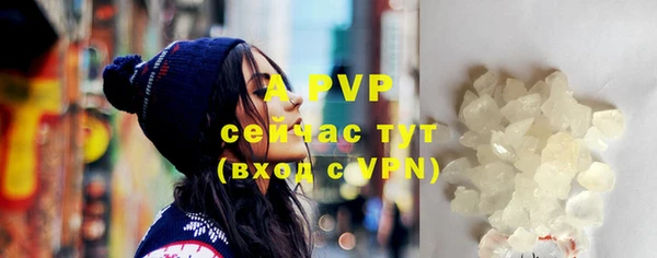 гидра Волоколамск