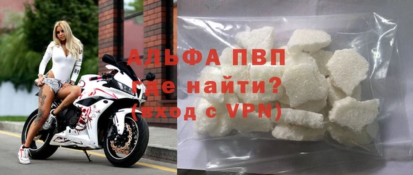 гидра Володарск