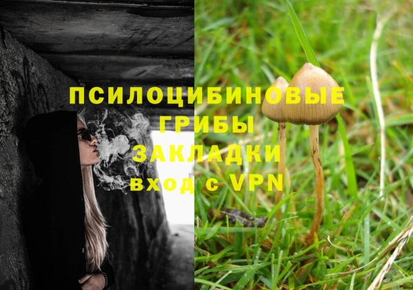 мескалин Верхний Тагил